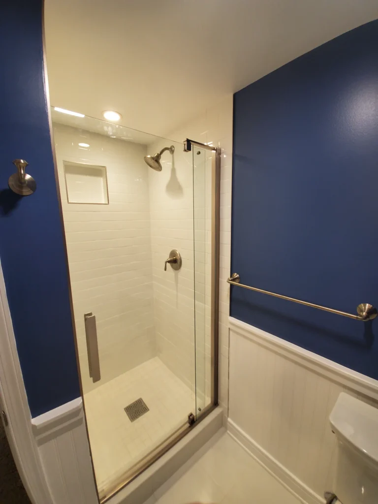Bathroom Remodel Project With Toilet, Handrail, And Walk-In Shower