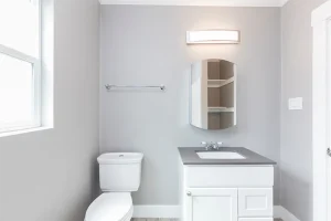 Smaller gray bathroom with single vanity and toilet